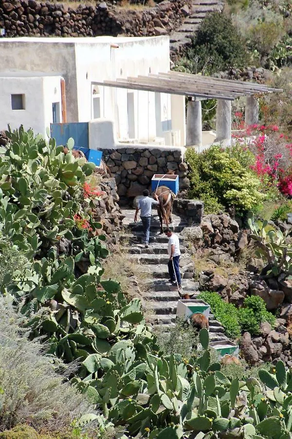 مبيت وإفطار Alicudi Giardino Dei Carrubi- Al Gradino 365